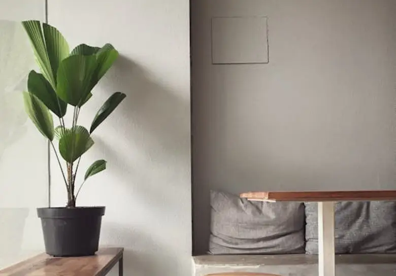 Como Usar Plantas na Decoração de Interiores