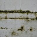 O que fazer quando a parede começa a apresentar manchas de umidade?