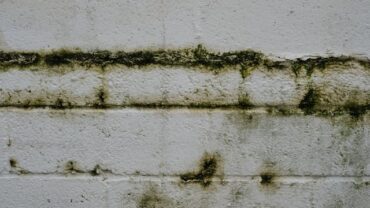 O que fazer quando a parede começa a apresentar manchas de umidade?