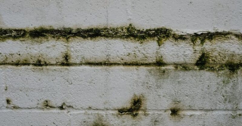 O que fazer quando a parede começa a apresentar manchas de umidade?