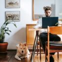 Descubra formas de proporcionar um espaço ideal para pets pequenos em apartamentos compactos