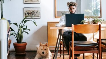 Descubra formas de proporcionar um espaço ideal para pets pequenos em apartamentos compactos