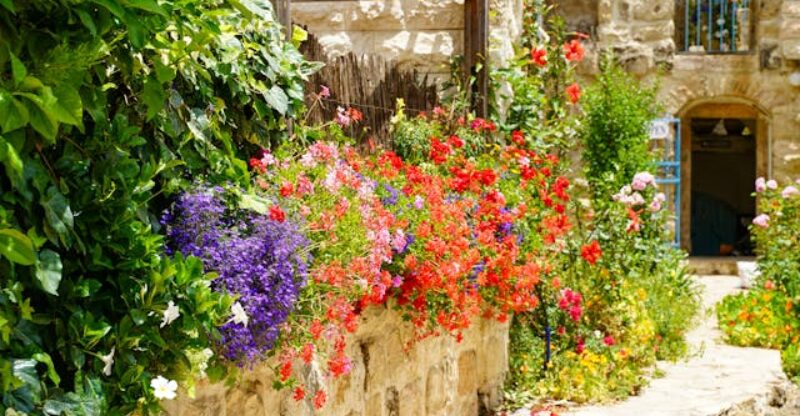 5 Espécies Nativas Perfeitas para Jardins Urbanos